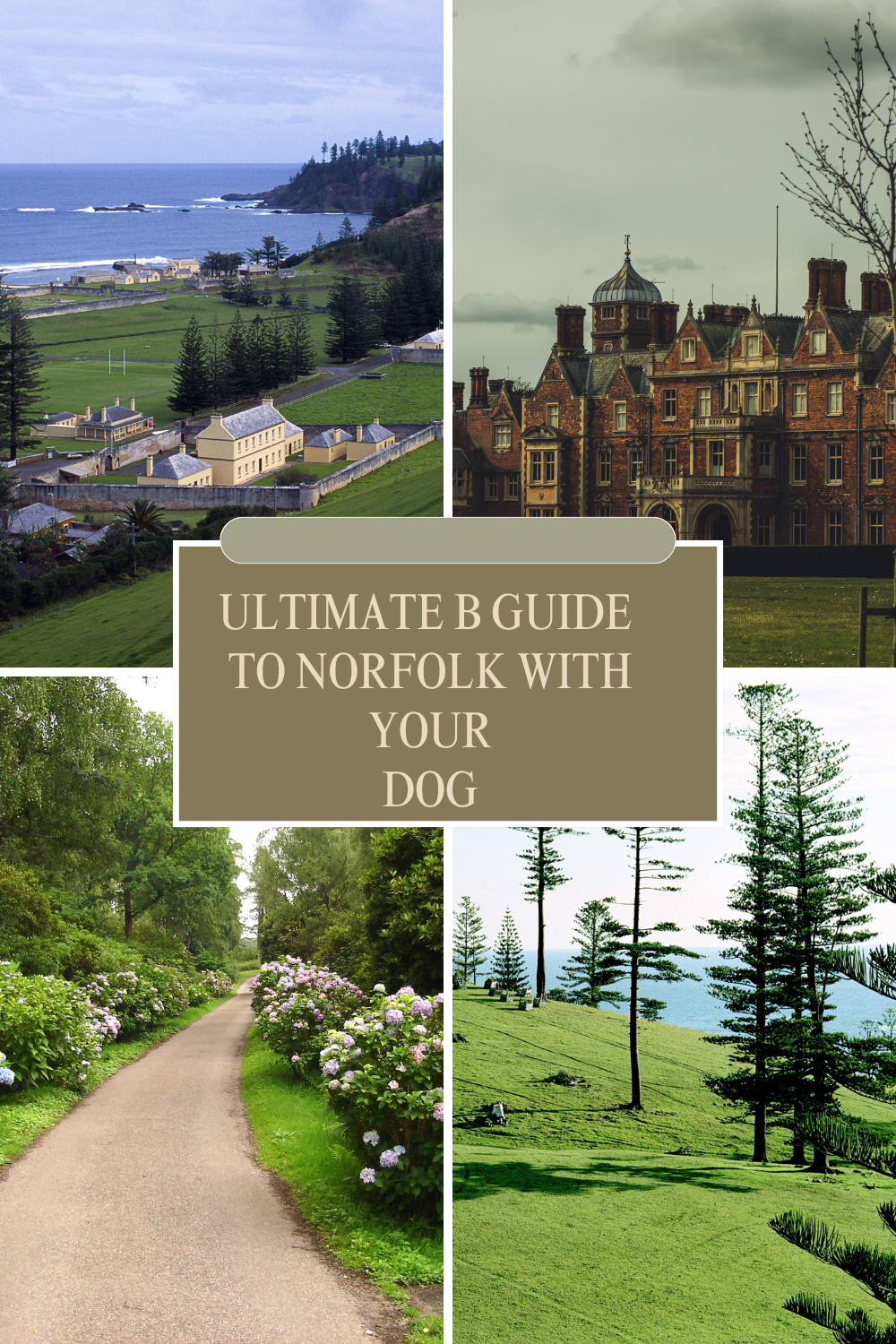 Norfolk guide